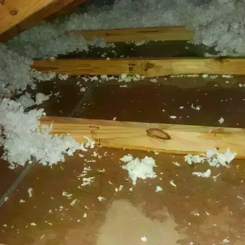 Attic Water Damage in Rogers, AR