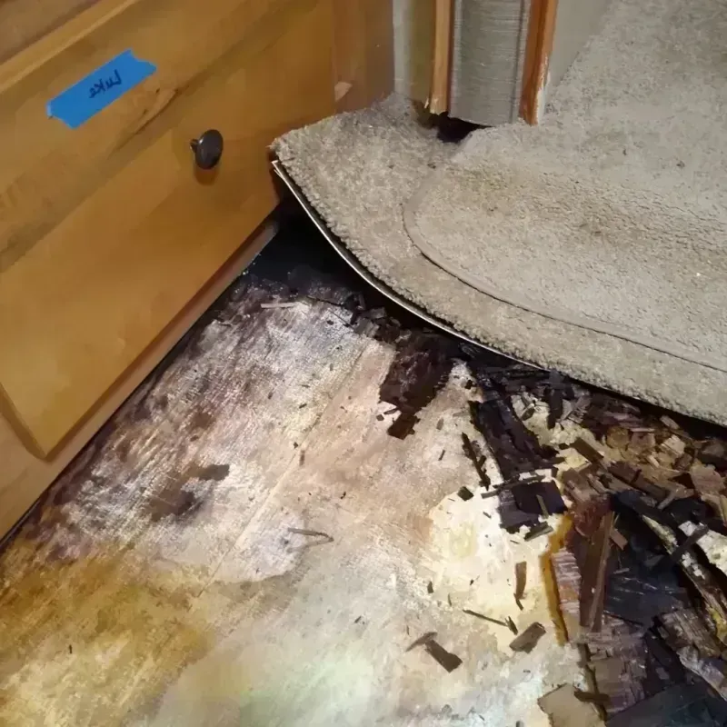 Wood Floor Water Damage in Rogers, AR